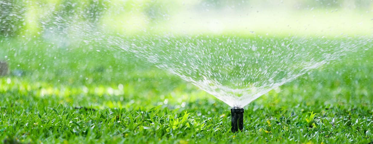 sprinkler head watering lawn