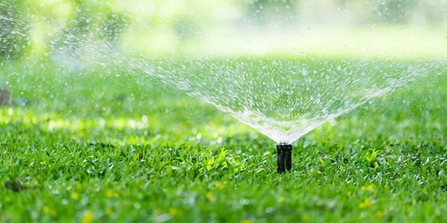 Sprinkler watering green lawn for healthy grass maintenance