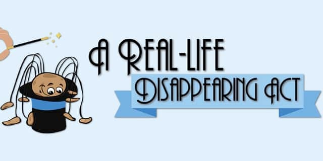 Real-Life Disappearing Act