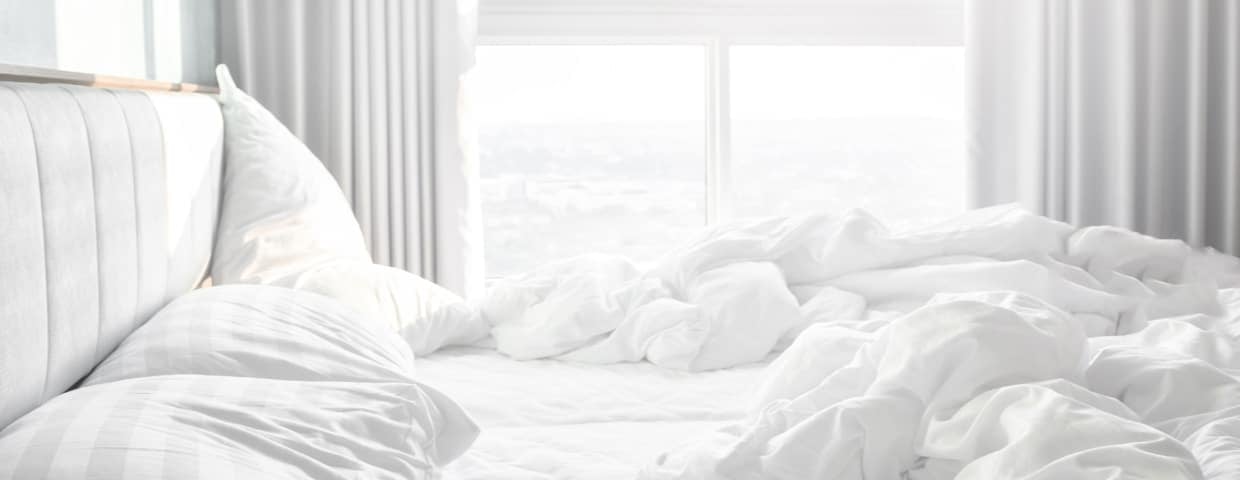 Bedbugs