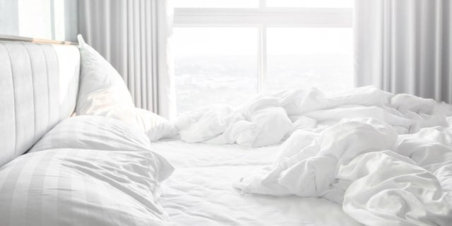 Bedbugs