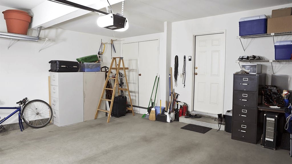 DIY Pest Exclusion