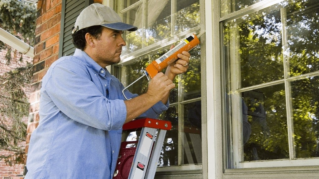 DIY Pest Exclusion