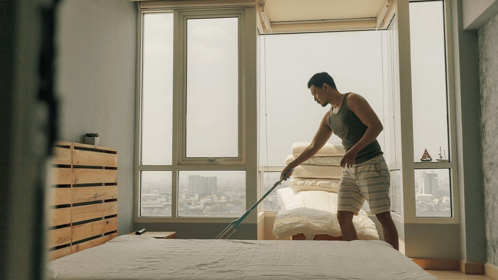 Bedbugs