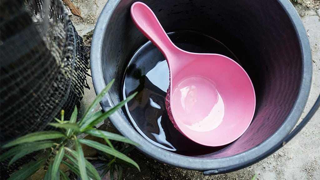 Mosquito Proof Your Yard