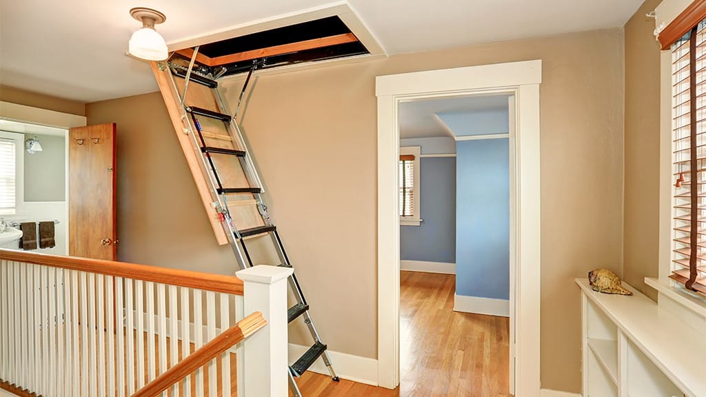 Pest-Proof Your Attic
