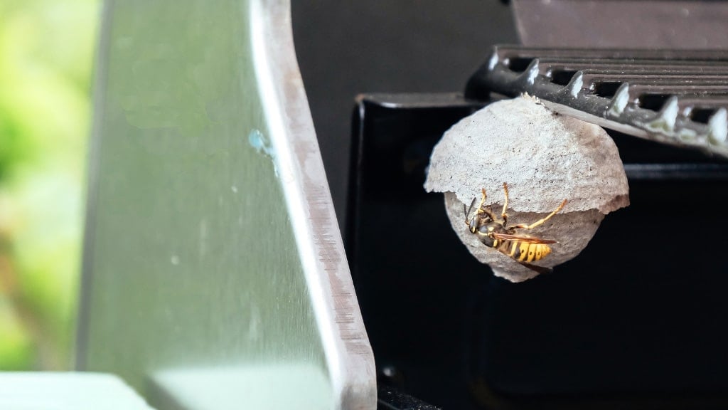 Exclusion Pest Control