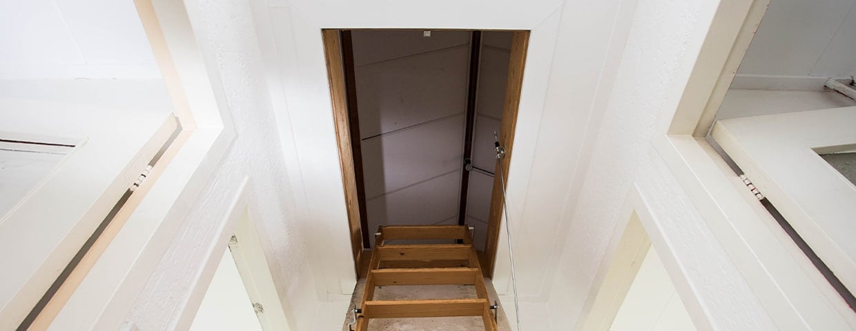 Pest-Proof Your Attic