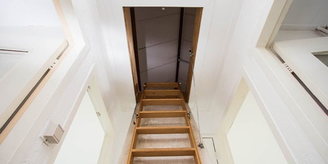 Pest-Proof Your Attic