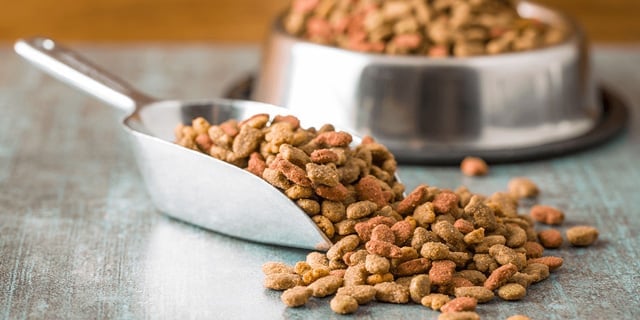Pet Food Becomes Pest Food