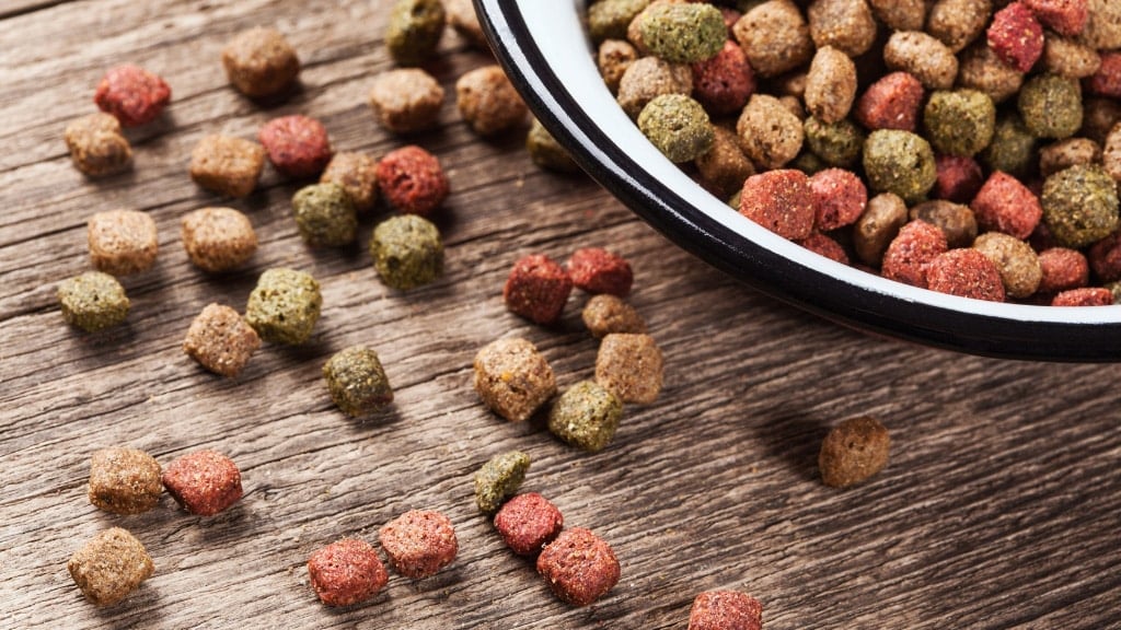 closeup of dog food sitting in dog bowl with some spilled out on wooden surface