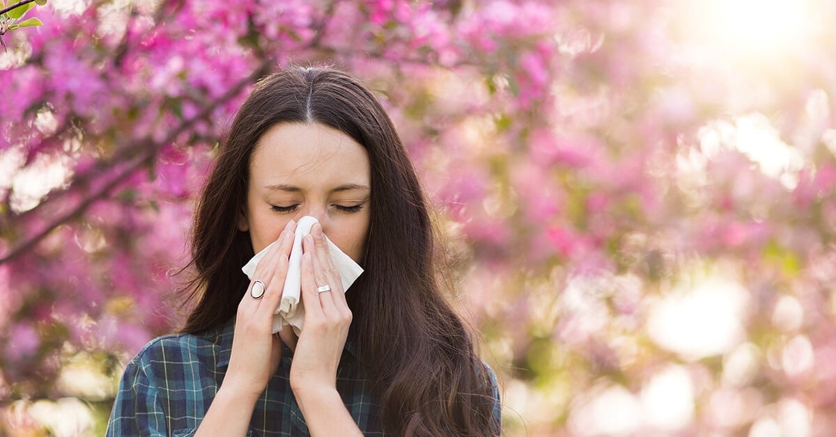 The Truth About Pest Allergies