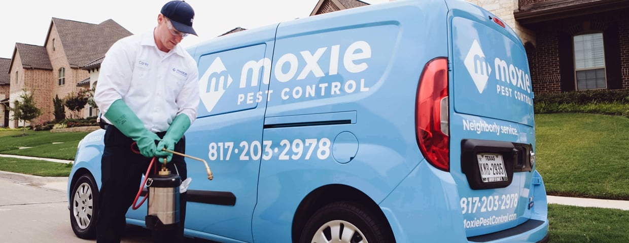 The Moxie Difference