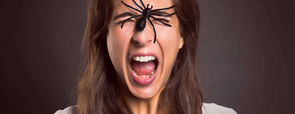 Why Are We Afraid Of Bugs