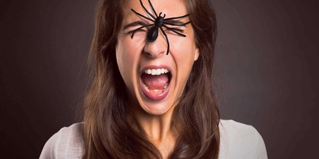Why Are We Afraid Of Bugs