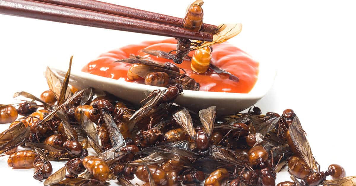 5 Real Ways to Eat Bugs
