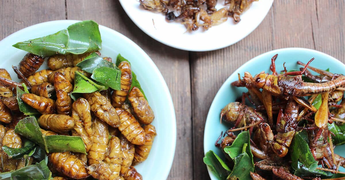 5 Real Ways to Eat Bugs