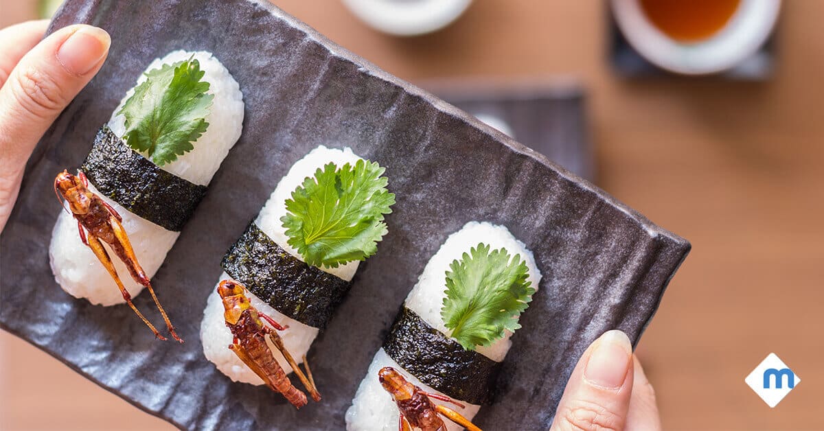 5 Real Ways to Eat Bugs
