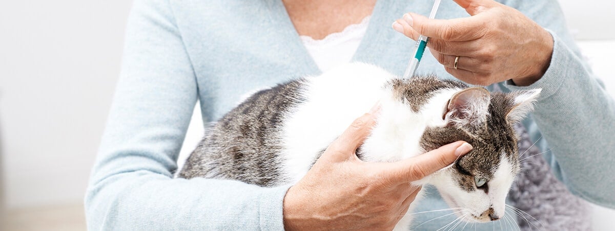 The Frightening Truth about Fleas