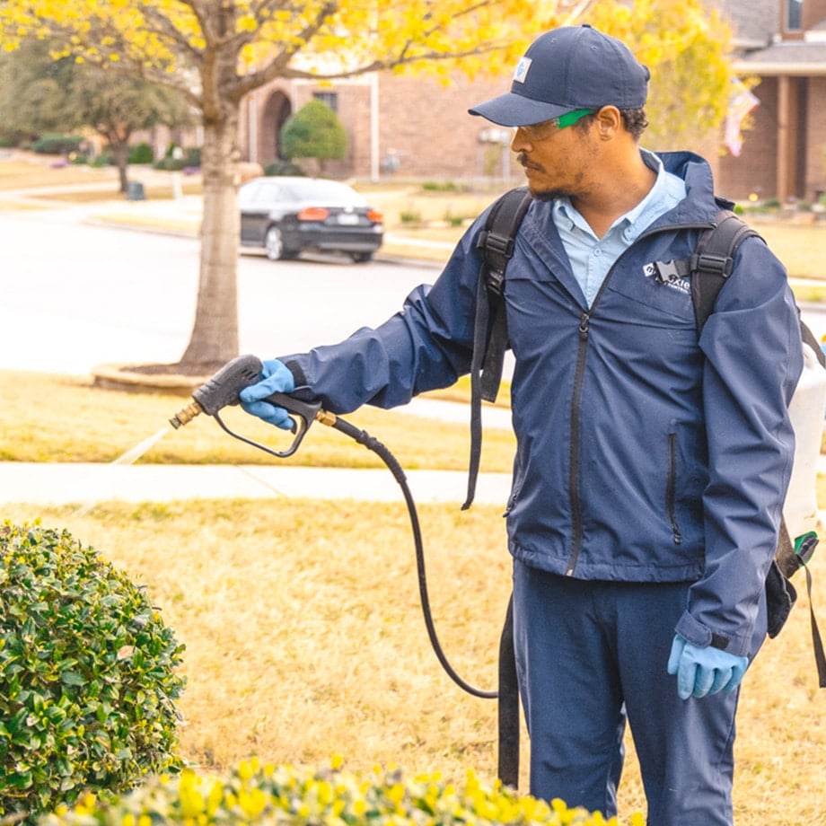 Moxie pest control technician assisting customer outdoors