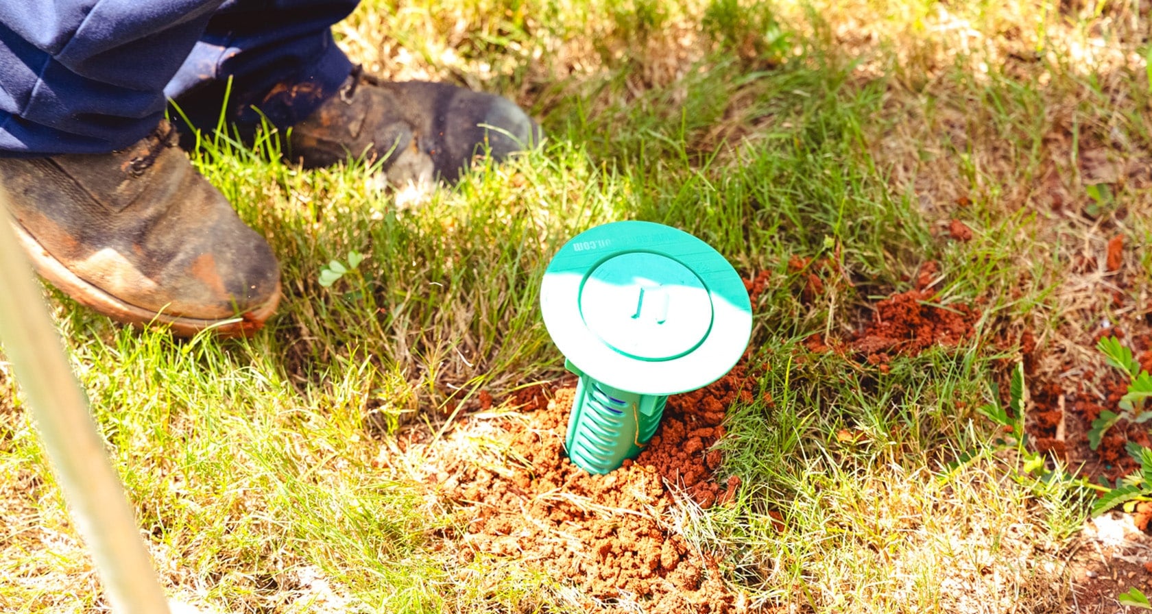 Termite control stake with technician and view of the ground