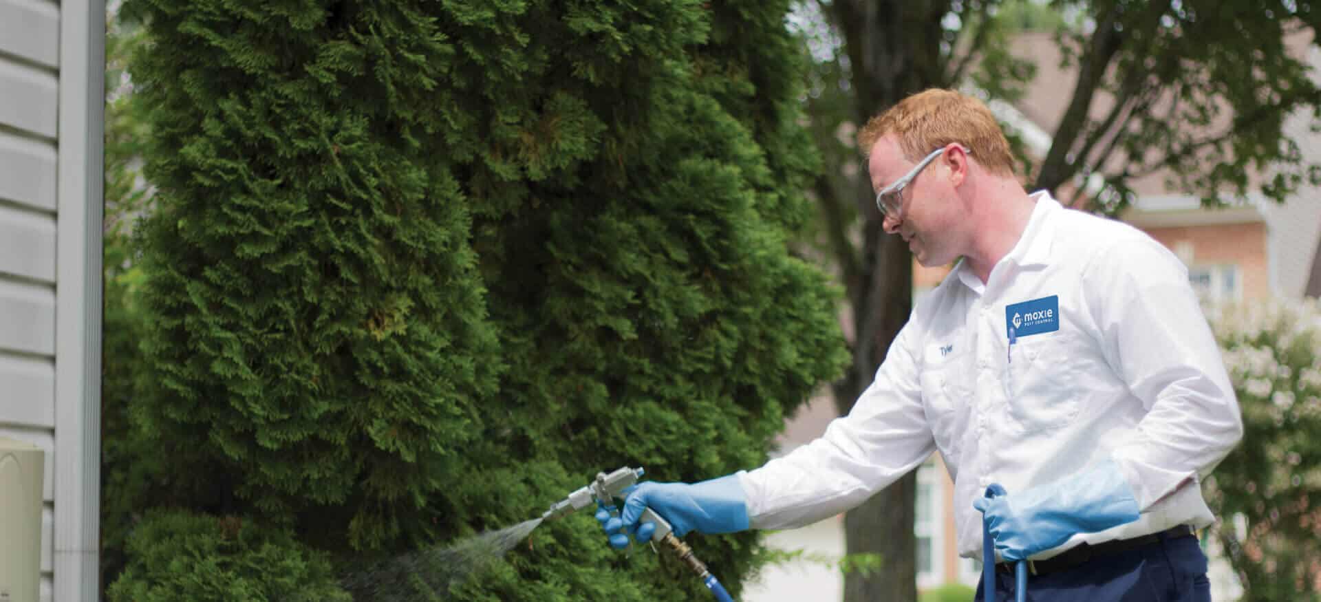 Year-round Pest Control… Is Pest Control Worth It?