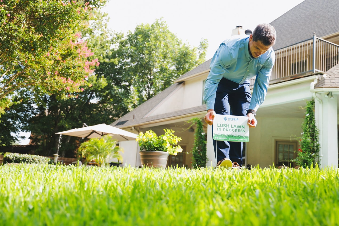 Moxie Lawn Care