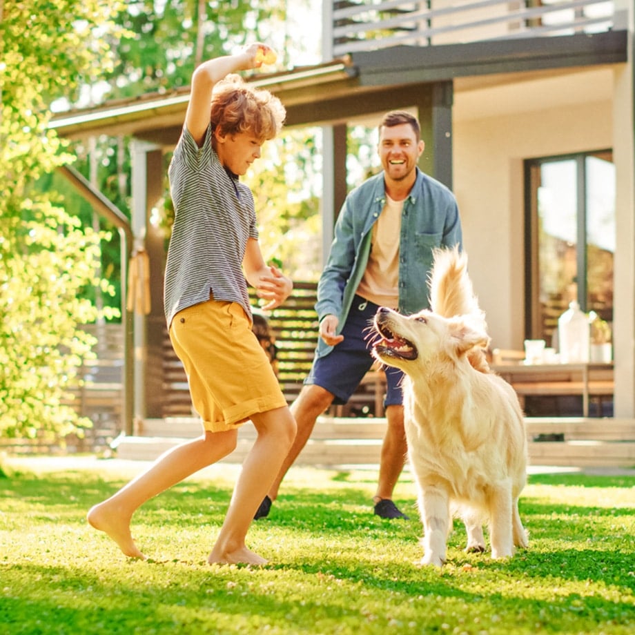 A young boy and a man play with a happy golden retriever in a sunlit backyard. The boy, barefoot and wearing yellow shorts, lifts a toy in the air as the excited dog jumps toward it, while the man smiles in the background near a modern house with a patio.