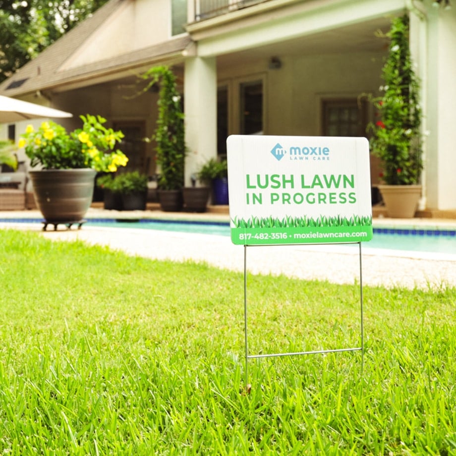 A green yard sign reading “Lush Lawn In Progress” from Moxie Lawn Care stands in a vibrant, well-maintained lawn beside a backyard pool. The background features potted plants and a light-colored house with a patio area.