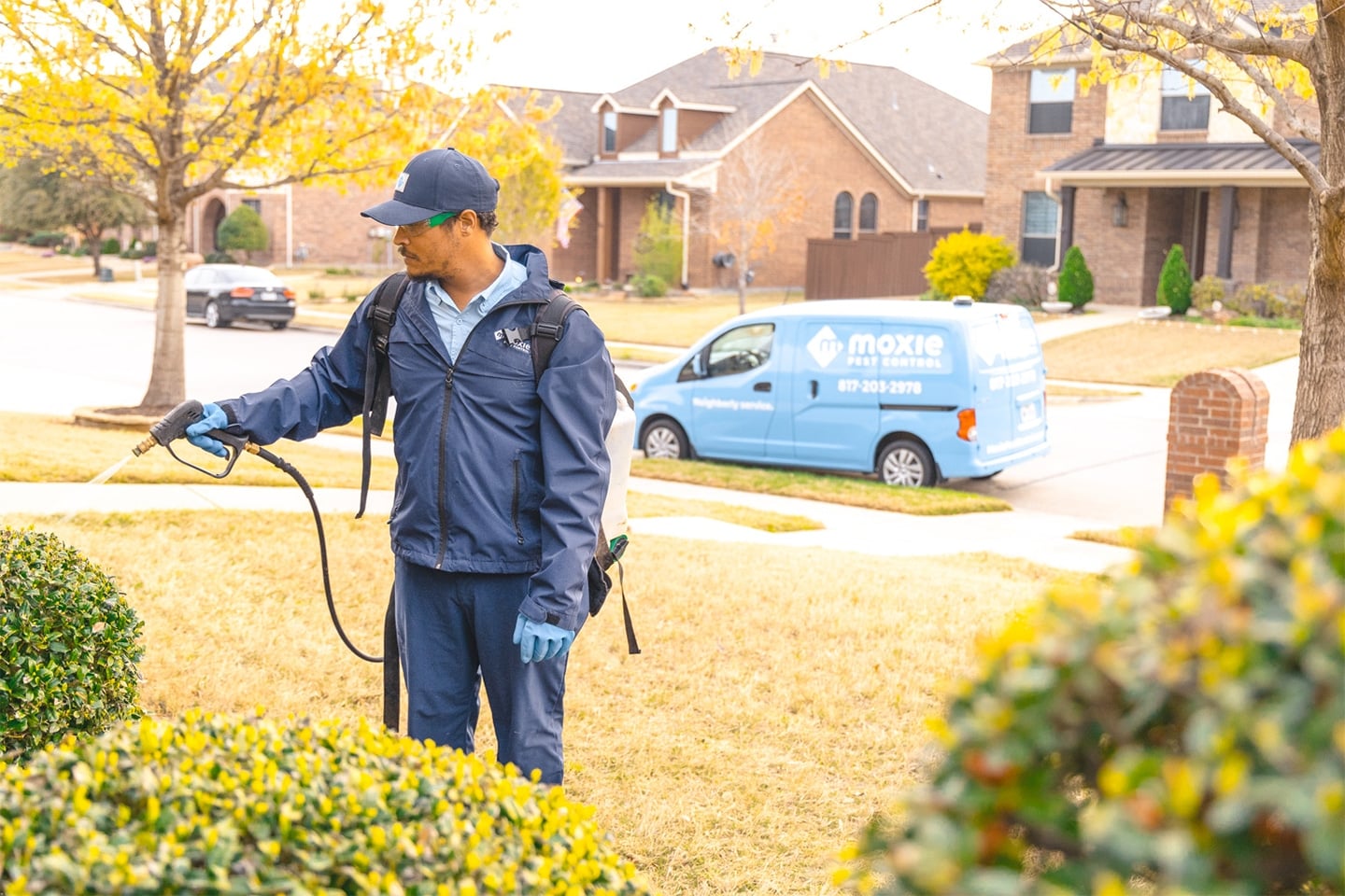 Pest control