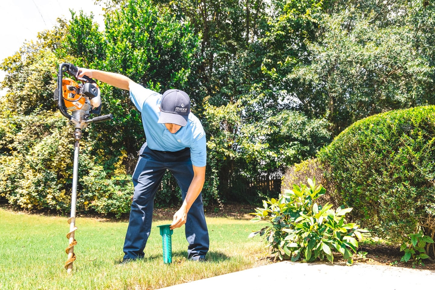 Termite control