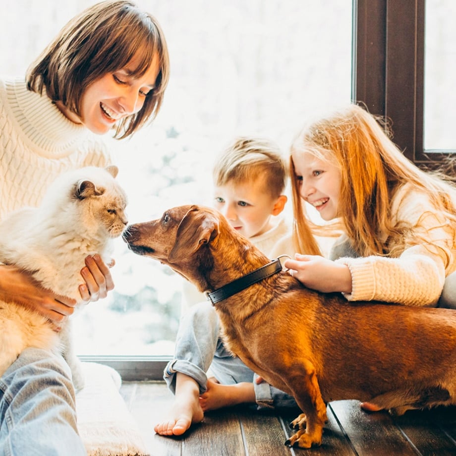 mother and children smiling sitting with their dachsund and cat