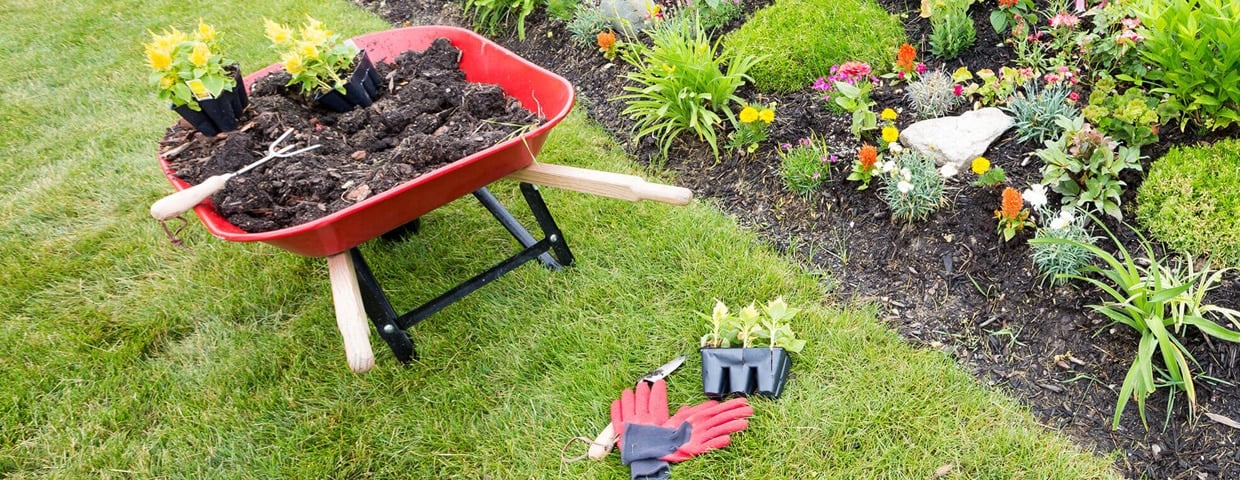 5 Surprising Ways Your Landscaping Can Help Battle Pests