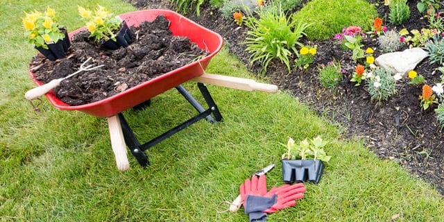 5 Surprising Ways Your Landscaping Can Help Battle Pests