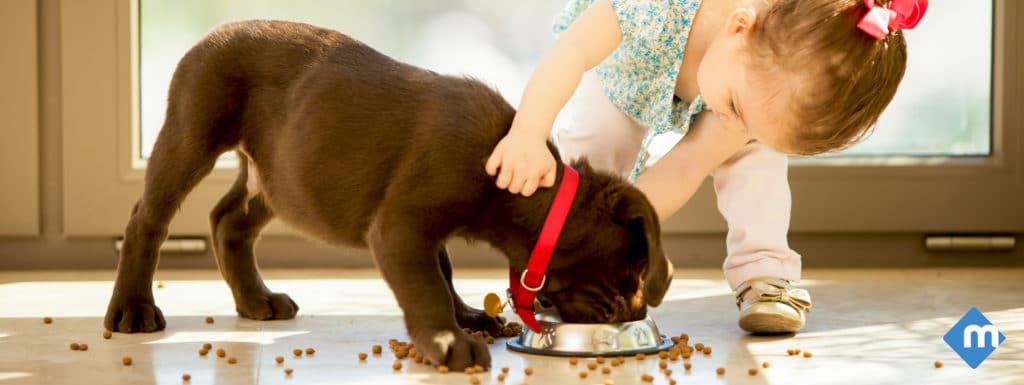 5 Simple Pointers to Keep Pests Out of Your Home