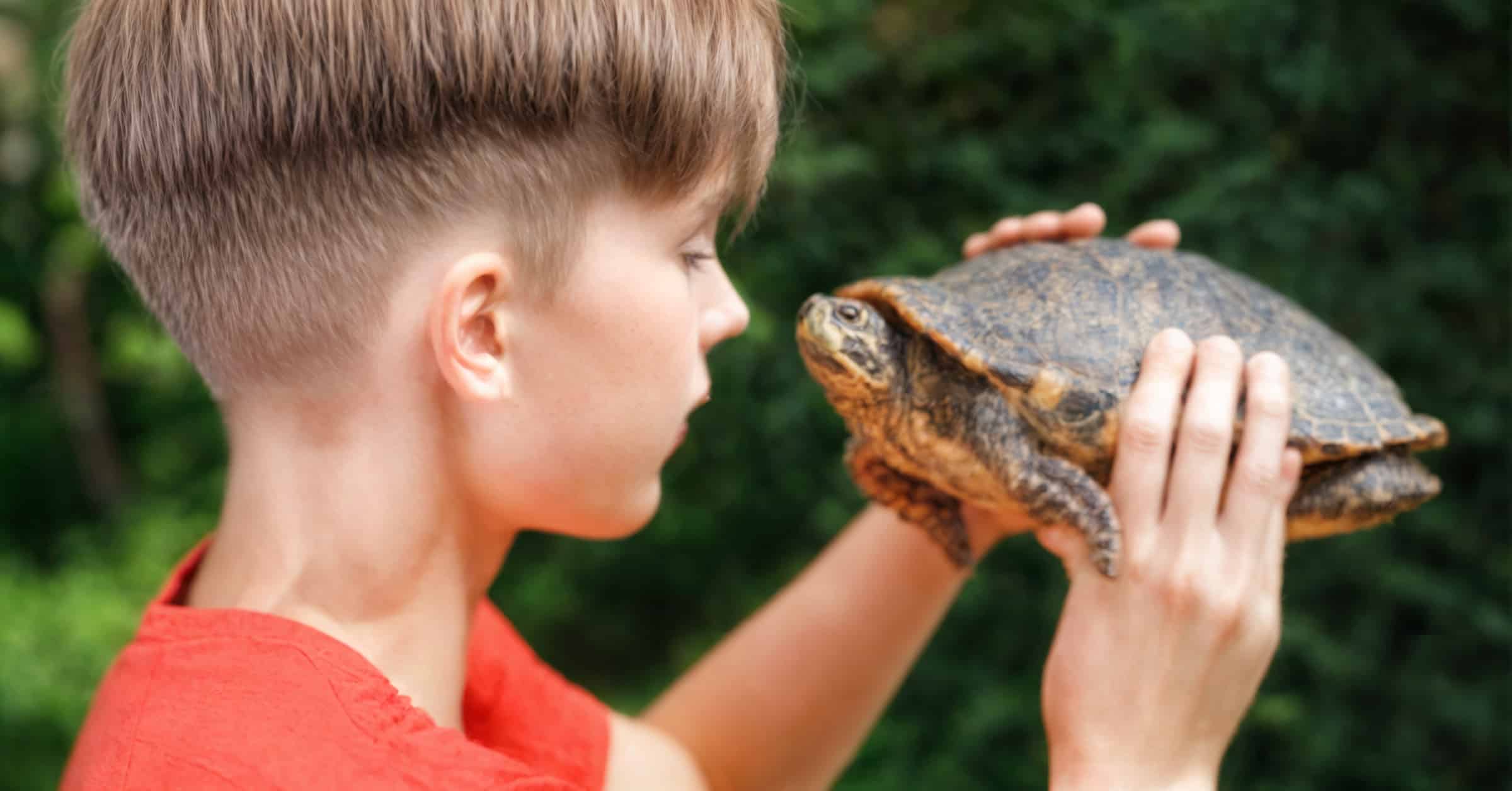 3 Essential Questions about Pest Control with Pets