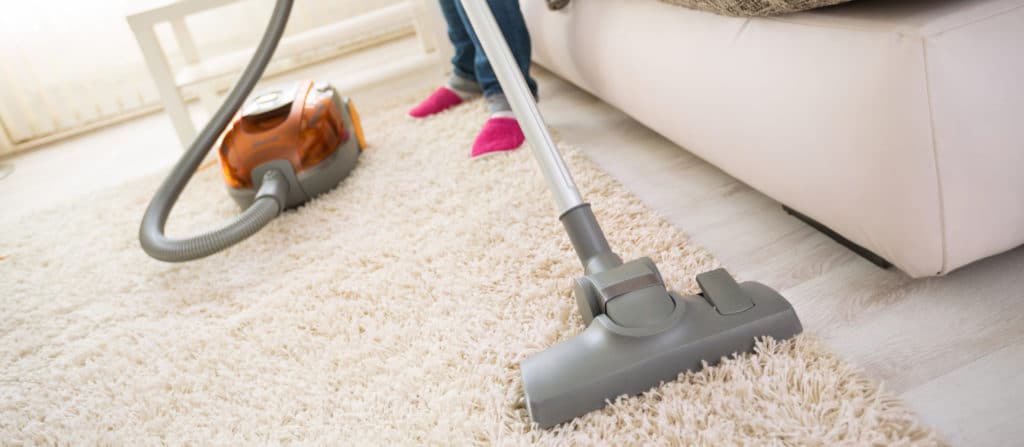 4 Things You Must Do to Get Rid of Fleas