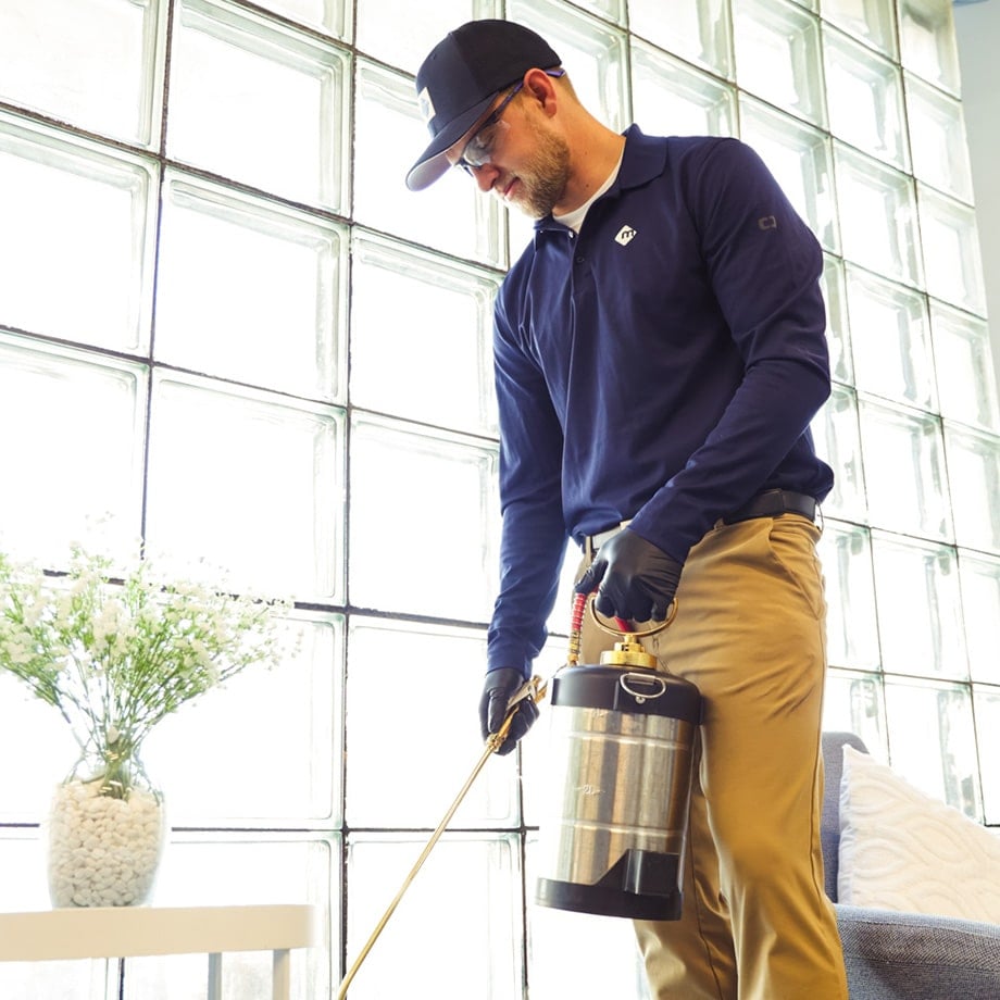 moxie pest control technician treating inside a home