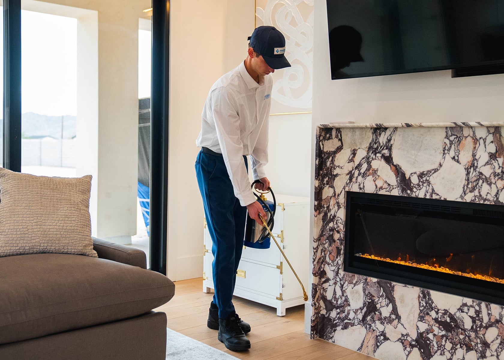 Pest control in Phoenix