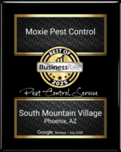 Best Pest Control South Mountain Village